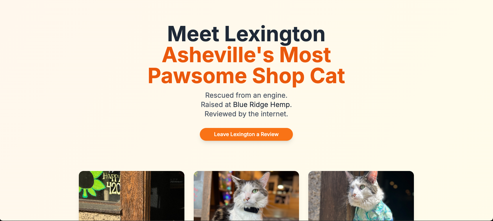 Lexington the Cat website preview