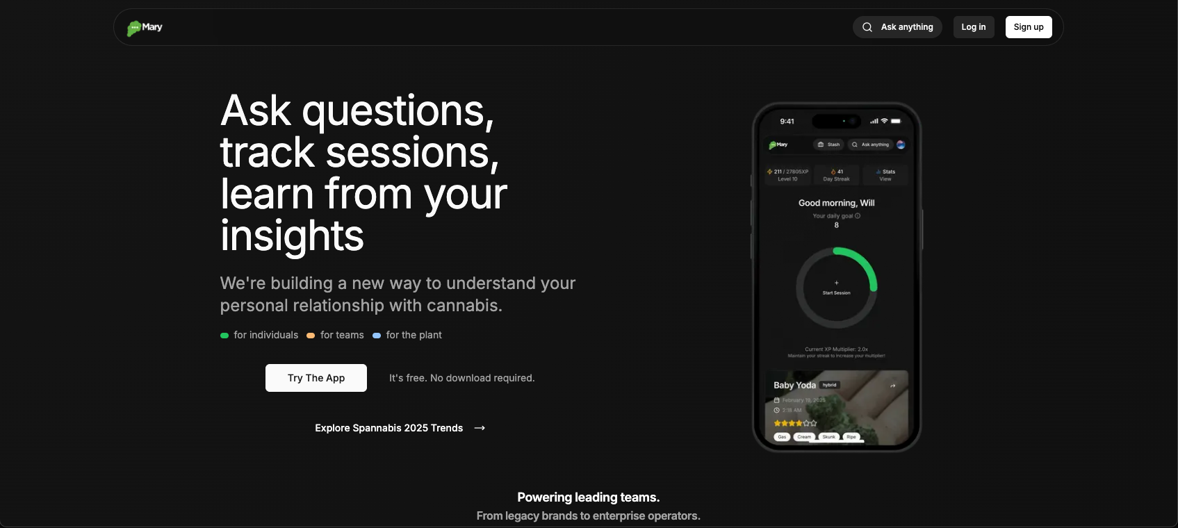 Mary app website preview